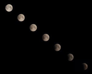 Gedeeltelijke maansverduistering collage 14-3-2025_Thumbnail