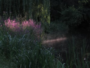 Anne Frank Plantsoen_Thumbnail (13-7-2017)