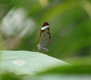 Greta Oto (6-4-2023)