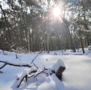 Helmond Brouwhuis (9-2-2021)