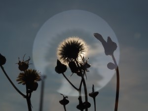 Zonsondergang (19-9-2017)
