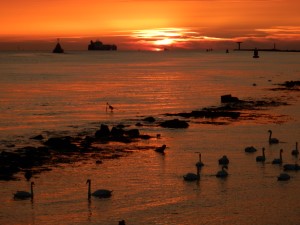 Zonsondergang (26-8-2016)