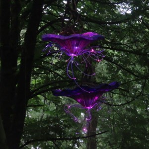 Mystic Garden (15-9-2019)