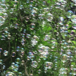 Mystic Garden (15-9-2019)