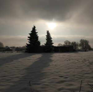 Schimmert (19-1-2024)