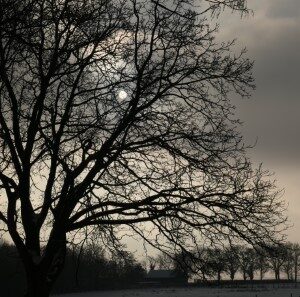 Schimmert (19-1-2024)