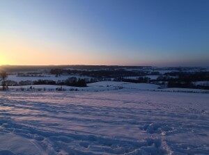 Schimmert (19-1-2024)