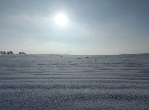 Schimmert (19-1-2024)