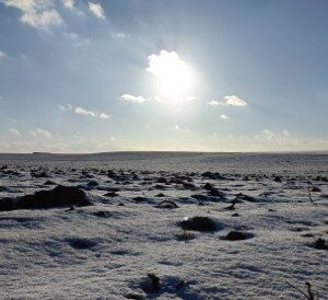 Schimmert (19-1-2024)