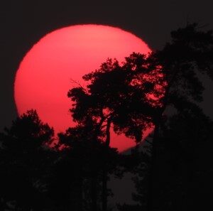 Zonsondergang (2-9-2021)