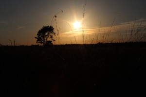 Zonsondergang (26-6-2017)