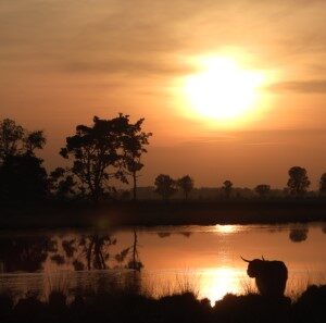 Zonsondergang (15-4-2020)