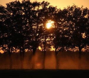 Zonsondergang (14-6-2023)