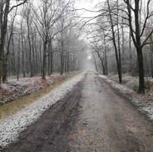 Weerterbos (27-2-2020)